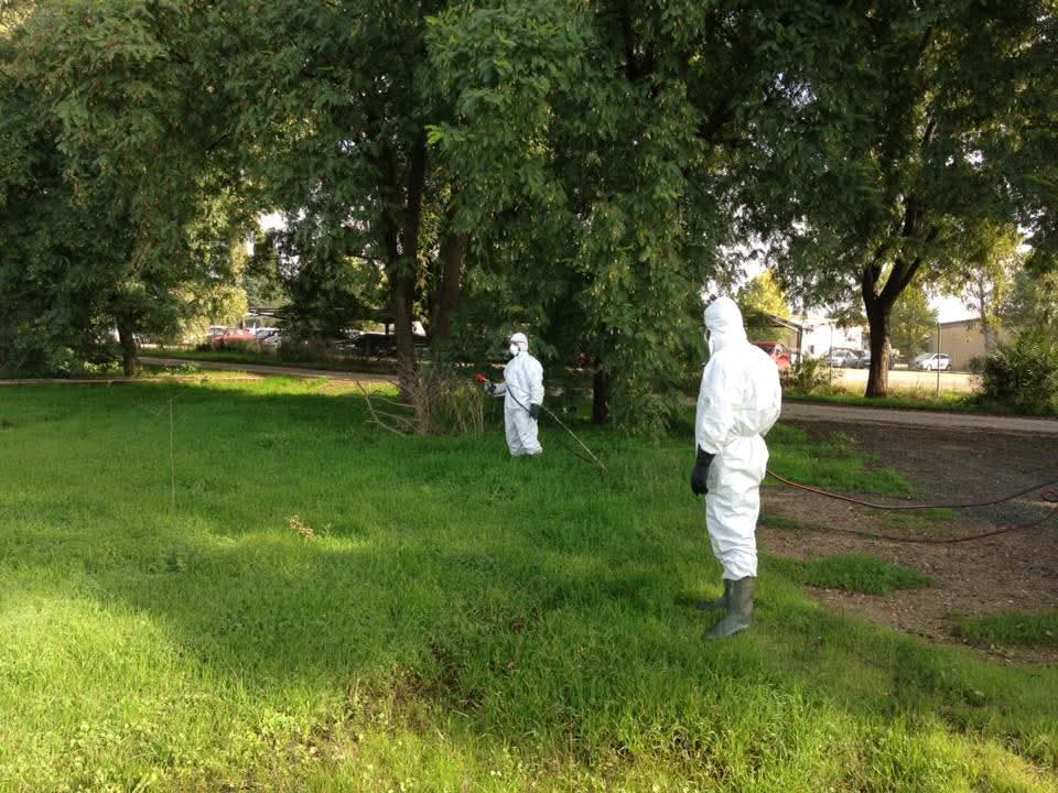 medioambiente prosegal