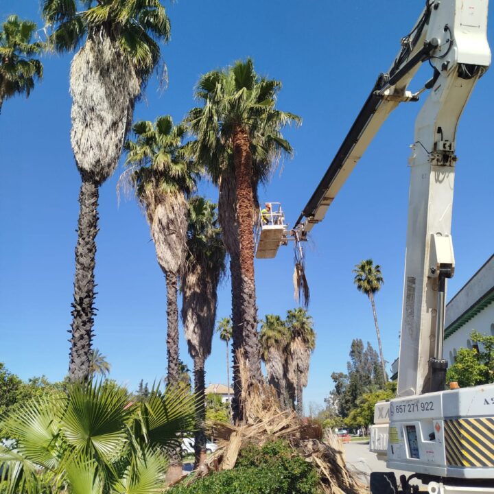 trabajos ambientales