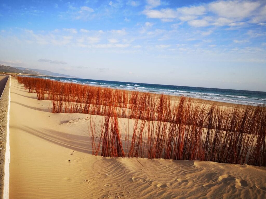 Imagen de WhatsApp 2025-10-22 a las 14.16.38_96d50530