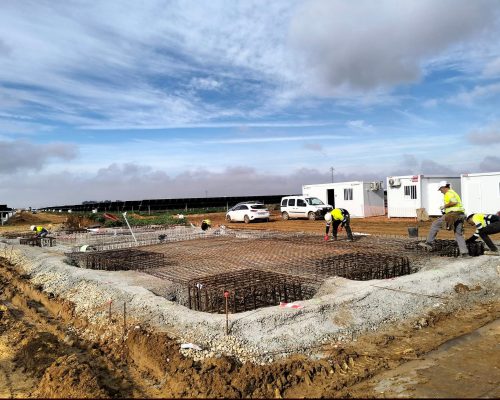 WhatsApp Image 2026-01-21 at 10.00.03