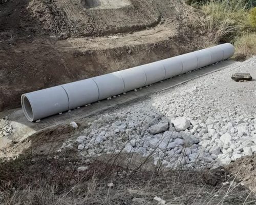 WhatsApp Image 2026-01-21 at 12.00.07 (2)